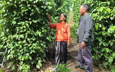 Xây dựng "kịch bản" thoát nghèo cho từng hộ dân