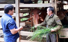 Thay đổi hành vi - Chìa khóa để giảm nghèo bền vững