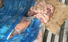 Triệt tiêu thực phẩm bẩn