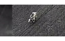 Điểm nóng xung đột ngày 24-12: Binh sĩ Nga dùng cách  "lạ", Ukraine tấn công đội tàu Nga