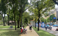 Trồng cây phân tán tại TP HCM đạt 1% kế hoạch đề ra