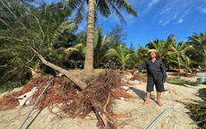 Bãi biển Mỹ Khê có nguy cơ bị "xóa sổ" do triều cường, sóng lớn bất thường