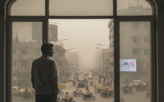 Một loại vitamin có thể bảo vệ phổi khi gặp ô nhiễm bụi mịn