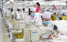 Công ty TNHH Panko Vina giải thể: Quyền lợi người lao động giải quyết ra sao?