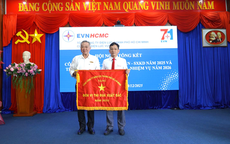 Các công ty điện lực vươn mình sau sáp nhập