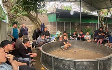 Bí mật bên trong sới bạc có sự tham gia của các chủ trang trại