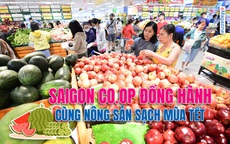 Saigon Co.op đồng hành cùng nông sản sạch mùa Tết