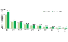 Việt Nam lập kỷ lục xuất nhập khẩu, thị trường Trung Quốc và Mỹ chiếm 422 tỉ USD