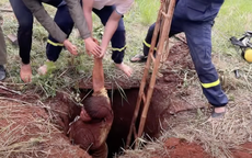 CLIP: Giải cứu người đàn ông rơi xuống hố sâu ở Đồng Nai