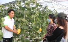 Phủ xanh vùng hoang hóa, tạo sinh kế bền vững