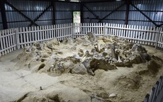 Ukraine: Phát hiện 4 công trình lạ xây bằng xương quái thú