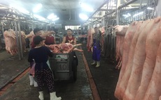 Giá heo hơi hôm nay, 30-12: Chợ đầu mối tiếp tục "đánh" giá lên