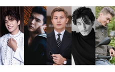 BẦU CHỌN GIẢI MAI VÀNG  - HẠNG MỤC “NAM DIỄN VIÊN ĐIỆN ẢNH, TRUYỀN HÌNH”: Diễn như không diễn