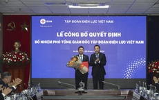 Bổ nhiệm 2 Phó Tổng giám đốc EVN