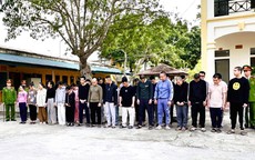 Triệt phá đường dây lừa đảo, bắt nhiều chủ tịch, giám đốc công ty "ma"