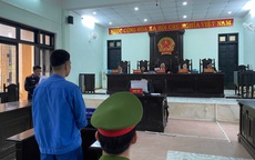 Chiêu giấu ma túy trong hộp “mật ong nghệ đen”: Một bị cáo lãnh án 16 năm tù