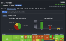 Chứng khoán 30-12: VN-Index bứt phá 12 điểm, một cố phiếu hóa chất "tím lịm"