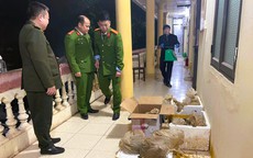 Cứu hộ 12 con vật quý hiếm được công an phát hiện trên ô tô 7 chỗ