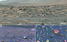 Một vùng đất ngoài hành tinh từng giống Đông Nam Á về khí hậu