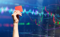 Vì sao cổ phiếu từng tăng 700% giờ bị đình chỉ giao dịch?