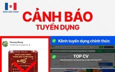 Cảnh báo tình trạng mạo danh doanh nghiệp có tiếng để ttuyển dụng