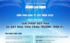 Trực tiếp - Diễn đàn Kinh tế Việt Nam 2025: Giải pháp đột phá để đạt mục tiêu tăng trưởng trên 