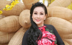Nghệ sĩ Hồng Nhung cần chuẩn bị gì khi tố cáo nhiều ca sĩ, nghệ sĩ xúc phạm danh dự?