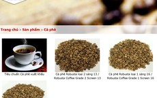 Giá cà phê hôm nay 31-3: Một công ty xuất khẩu Robusta tạm dừng cuộc chơi