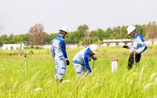 Dự án cao tốc TP HCM - Mộc Bài ghi mốc quan trọng