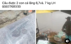 Vụ câu chuyện “lòng tham”: Bất ngờ với “lời trần tình” của nhân vật chính!