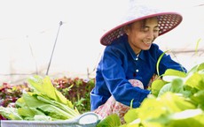 Định vị đô thị nghĩa tình (*): Trợ lực cho ý chí vươn lên