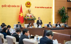 Cho ý kiến về sửa đổi Hiến pháp, thông qua nghị quyết về việc sắp xếp đơn vị hành chính