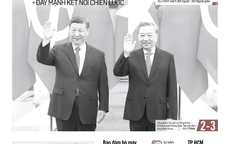 Báo in ngày 15-4: Bị cáo Trương Mỹ Lan tha thiết được chuộc tội 