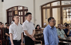 Xét xử vụ xây dựng hơn 500 biệt thự, nhà trái phép ở Đồng Nai
