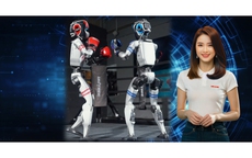 Trận đấu quyền Anh đầu tiên trên thế giới của robot