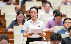 Đại biểu Quốc hội nêu vụ "lòng xe điếu" để nói về tình trạng quảng cáo thổi phồng