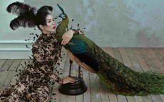 Bộ ảnh nhiều ẩn ý của Lệ Quyên