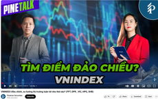 Điều gì tạo nên khác biệt cho bản tin và báo cáo chứng khoán?