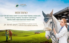 Học viện Cưỡi Ngựa Vinpearl Vũ Yên tổ chức Hội thảo chuyên sâu về ngựa