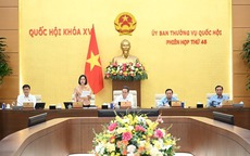 Ủy ban Thường vụ Quốc hội hướng dẫn chỉ định nhân sự đối với cấp xã không sáp nhập