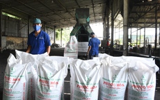 Những bước đi chiến lược của ngành cao su (*): Xanh hóa chuỗi hành trình