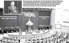 Báo in ngày 19-7: Đề xuất lộ trình để 100% tài xế công nghệ chạy bằng xe điện