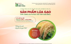 Tín dụng ưu đãi phục vụ Đề án 1 triệu hecta lúa chất lượng cao, phát thải thấp vùng ĐBSCL