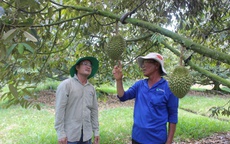 Loạt dự án chiến lược ở Tây Ninh được chấp thuận chủ trương đầu tư
