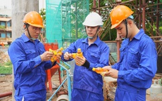 Uống Number 1, chủ quán cà phê ở An Giang trúng 50 triệu đồng tiền mặt