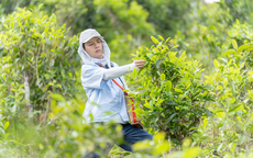 Diễn viên DUY KHÁNH: Tôi đang gặt quả ngọt
