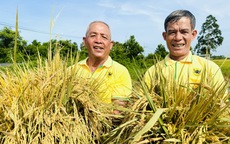 Bình Điền – Hành trình hơn nửa thế kỷ phụng sự nông dân và tầm nhìn tiên phong xanh hóa - số hóa