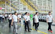 Đại lý phân phối POWELLDD tham quan Nhà máy AIMA Quảng Tây – Thúc đẩy hợp tác, mở rộng tương lai