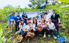 BIDV MetLife cùng Plan International ghi dấu thành quả dự án nông nghiệp bền vững tại Lai Châu