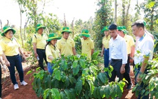 Khai phá tiềm năng cà phê Việt: Hành trình mới cùng Canh tác cà phê thông minh